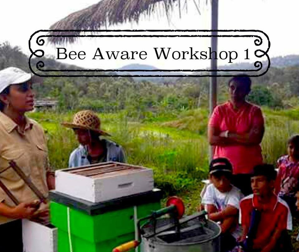 The Giving Tree at Kasthuri Estate-希达普拉必去景点