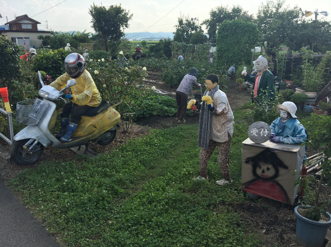 Kakashi-东近江市必去景点