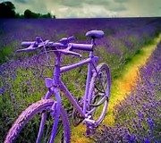 Nature Bike Provence景点图片