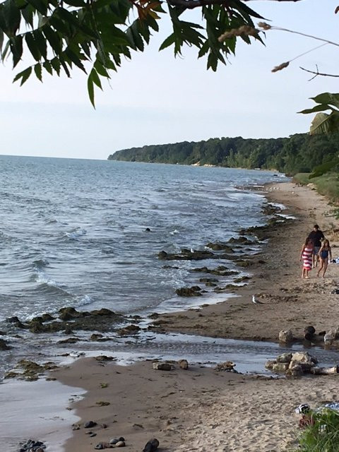 Pier Cove Park景点图片