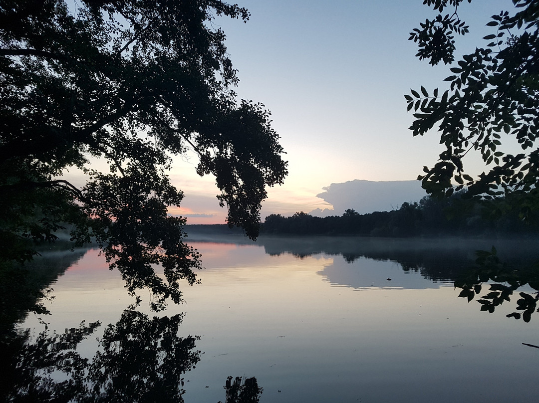 Jezioro Rusałka景点图片