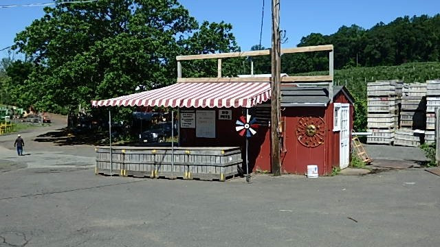 Wightman's Farm景点图片