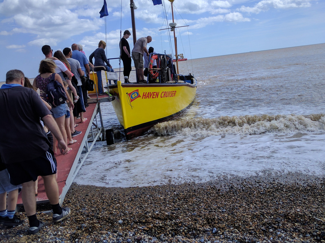 Seal Trips at Yarmouth-大雅茅斯必去景点