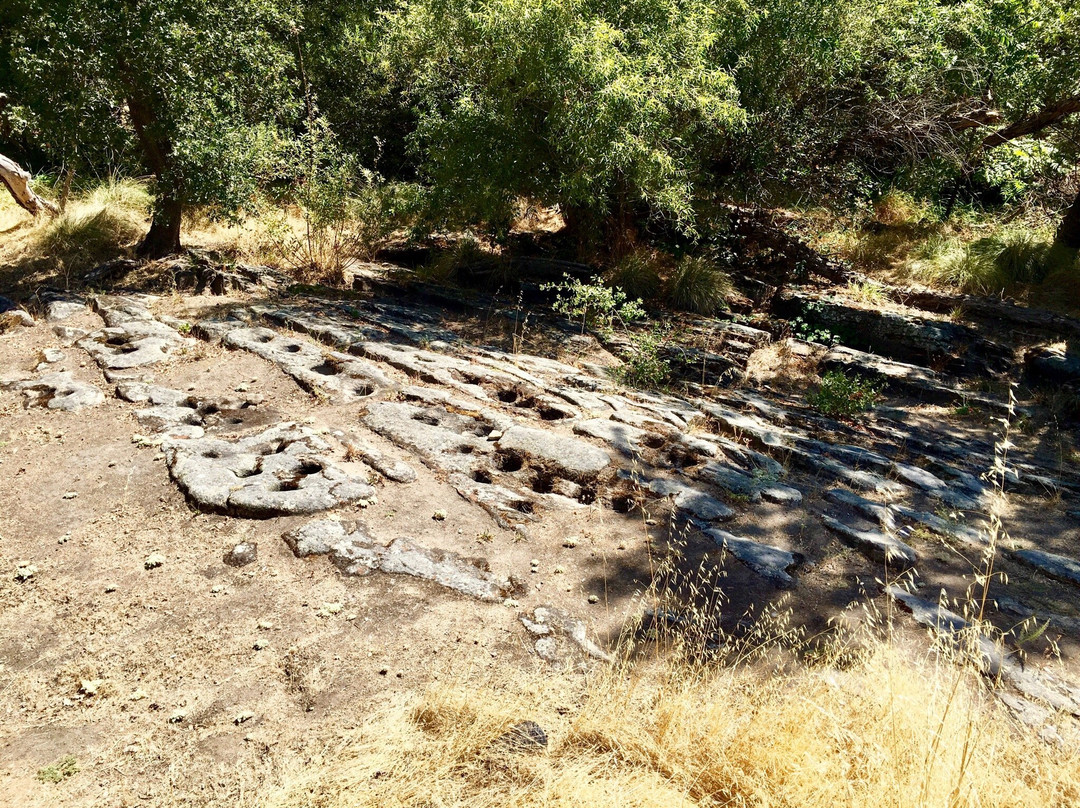 Maidu Museum & Historic Site景点图片
