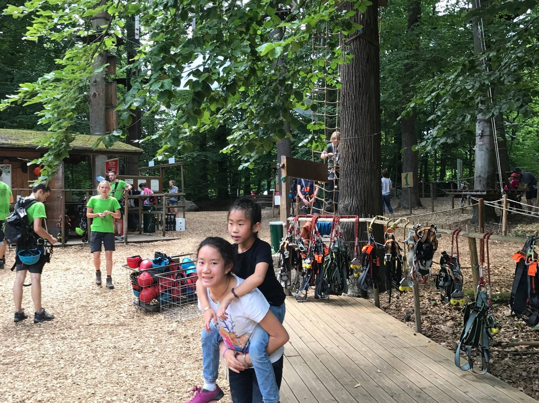 Kletterwald Neroberg-威斯巴登必去景点