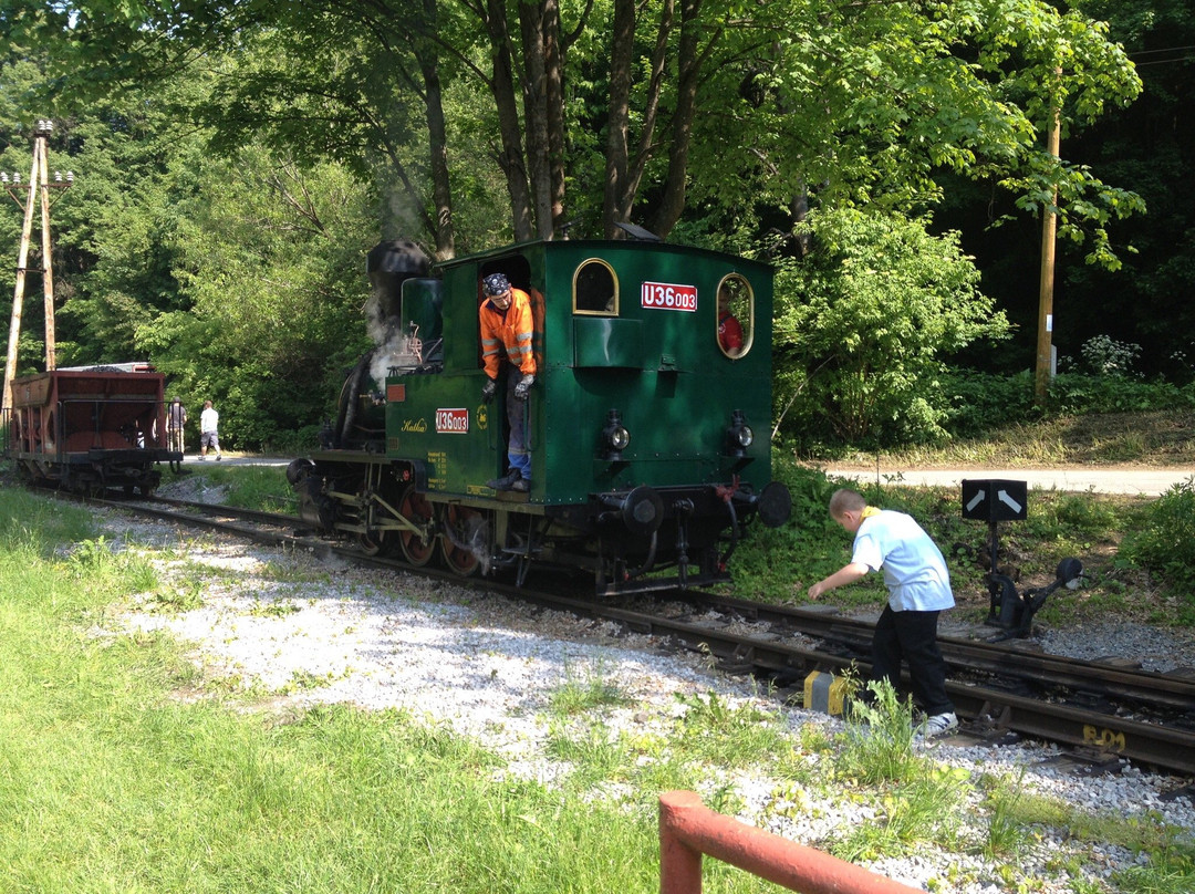 Kosice Children´s Historic Railway-科希策必去景点