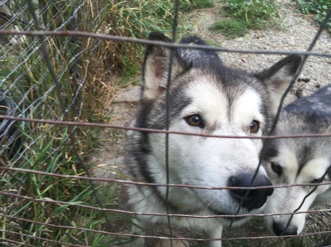 Big Bear ATV Canoe and Kayak Inc.-Lumby必去景点
