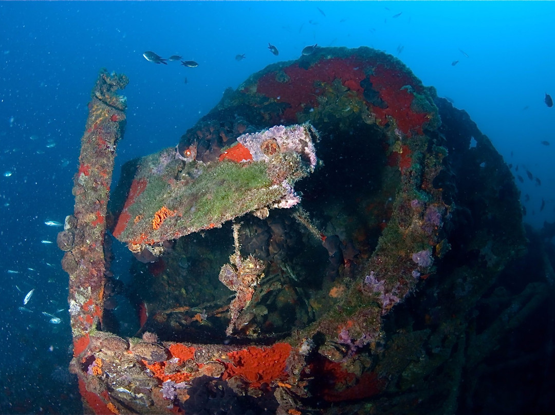 Subaquatic Dive Center-乌马格必去景点