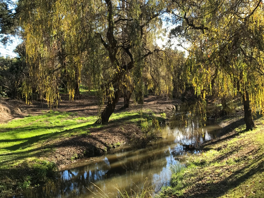 福斯特旅游攻略图片