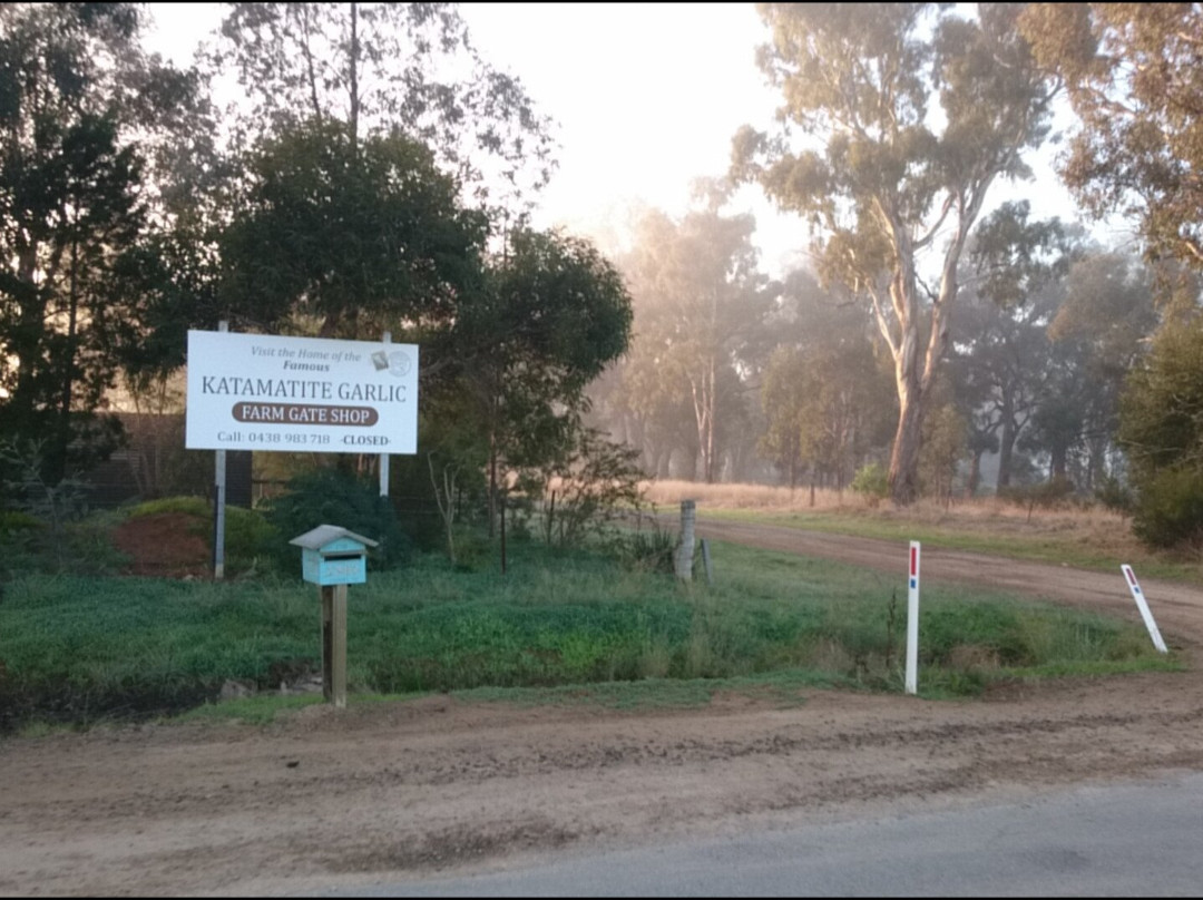 Katamatite Garlic-Katamatite必去景点