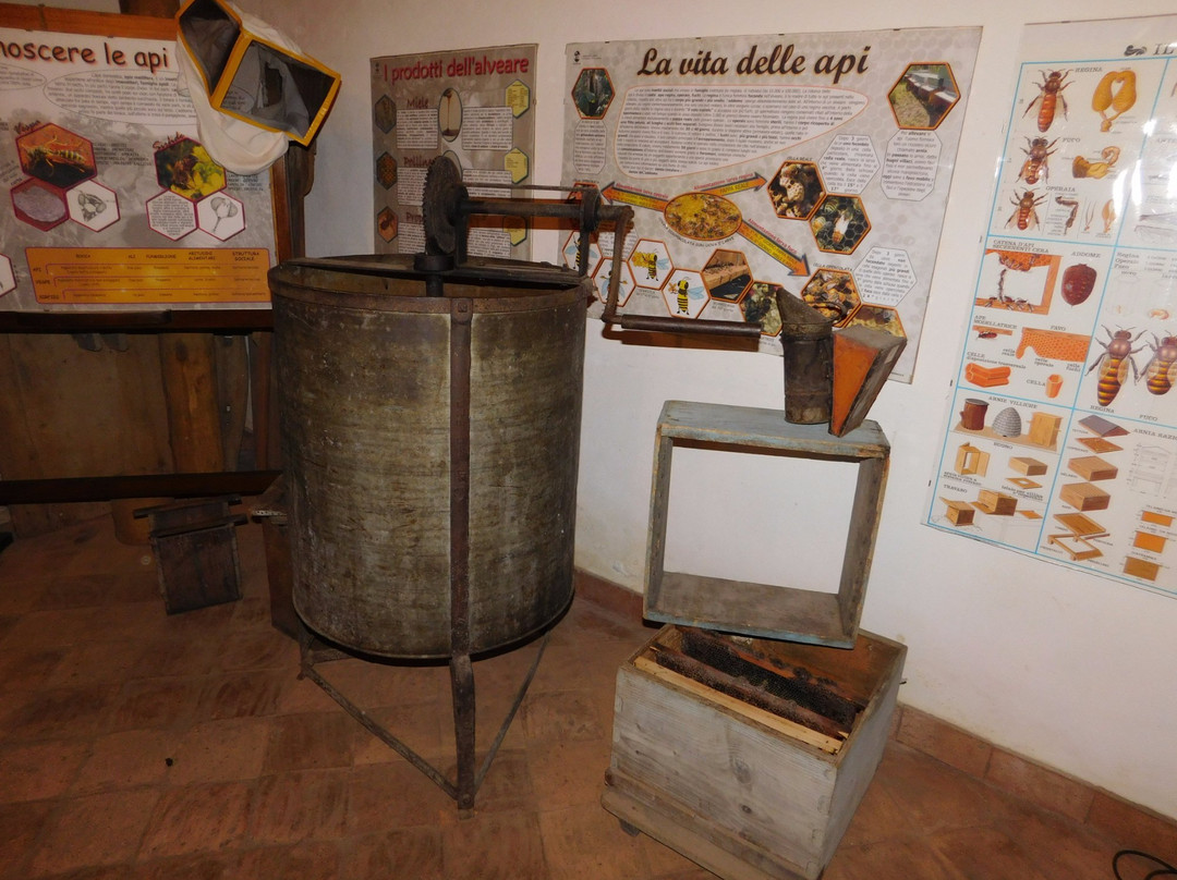 Casa Museo dell'Apicoltore e Vendita di Miele景点图片