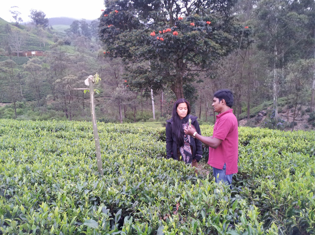 Friends Private Tours-加勒必去景点