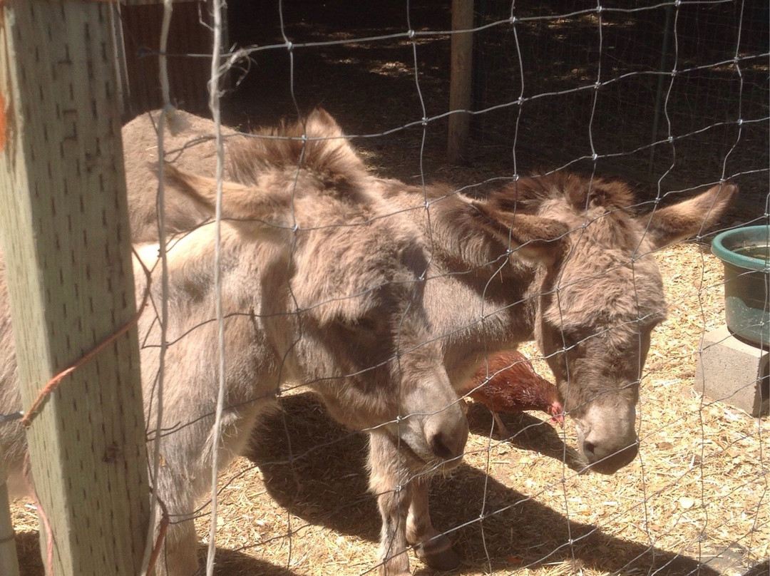 Morningsun Herb Farm-瓦卡维尔必去景点