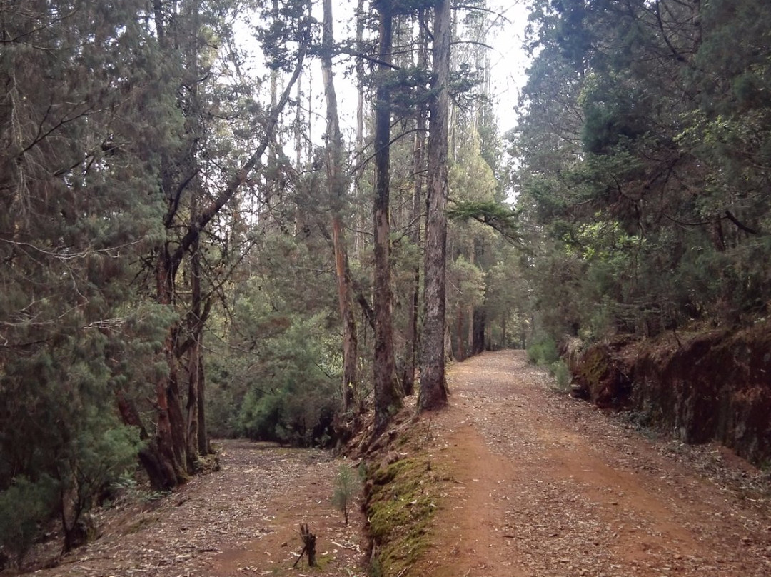 Cairn Hill景点图片