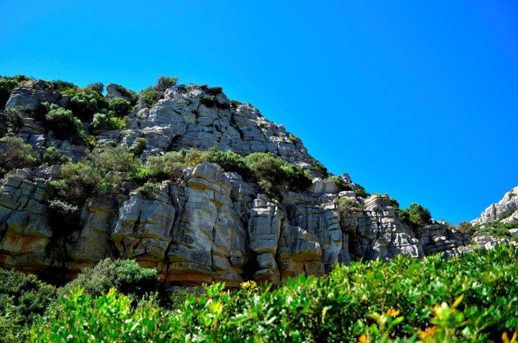 El Canuto de la Utrera景点图片