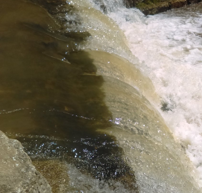 Sequiota Park-斯普林菲尔德必去景点