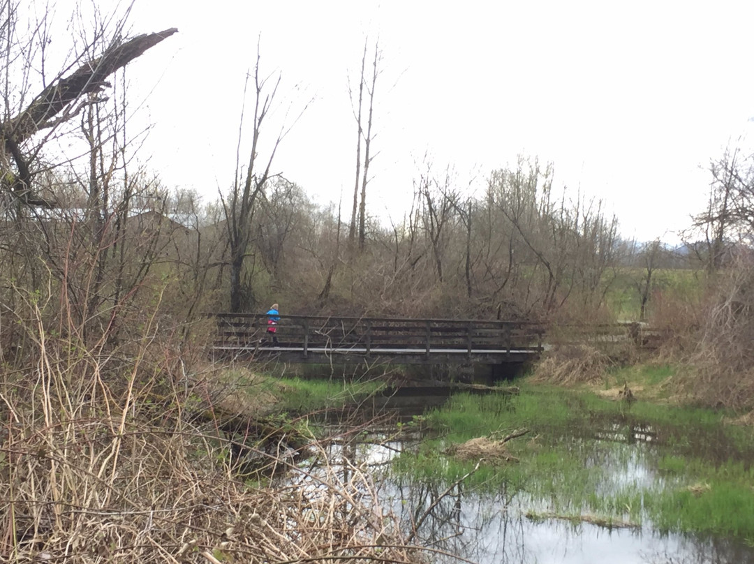 Matsqui Trail Regional Park景点图片