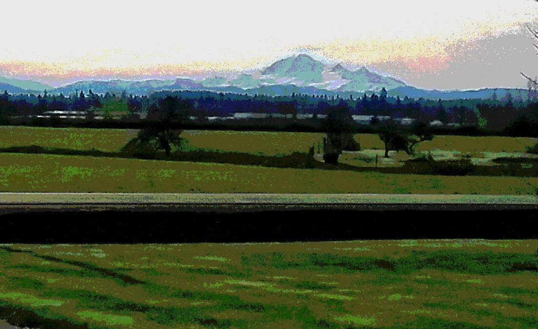 Mt. Bakerview Bed and Breakfast-酒店景观