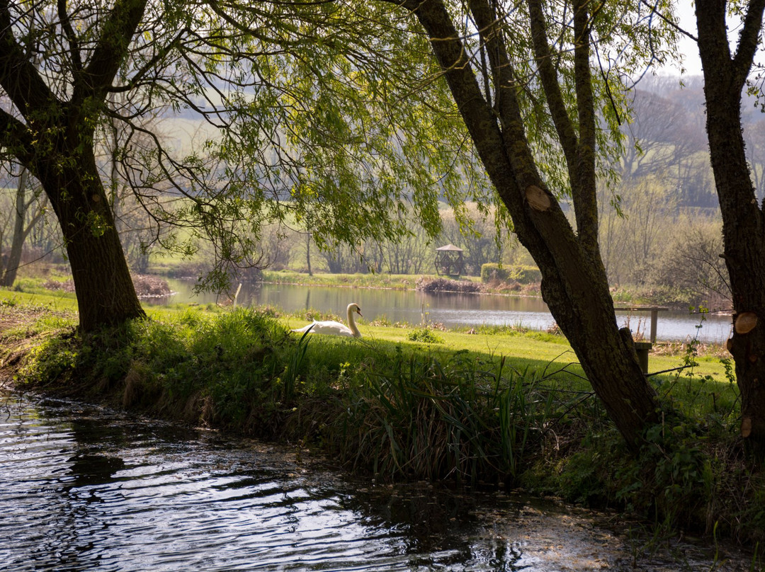 Lower Bruckland Farm Nature Reserve-Musbury必去景点