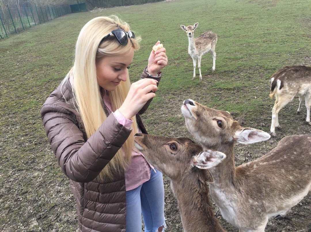 Tierpark Essehof-Lehre必去景点