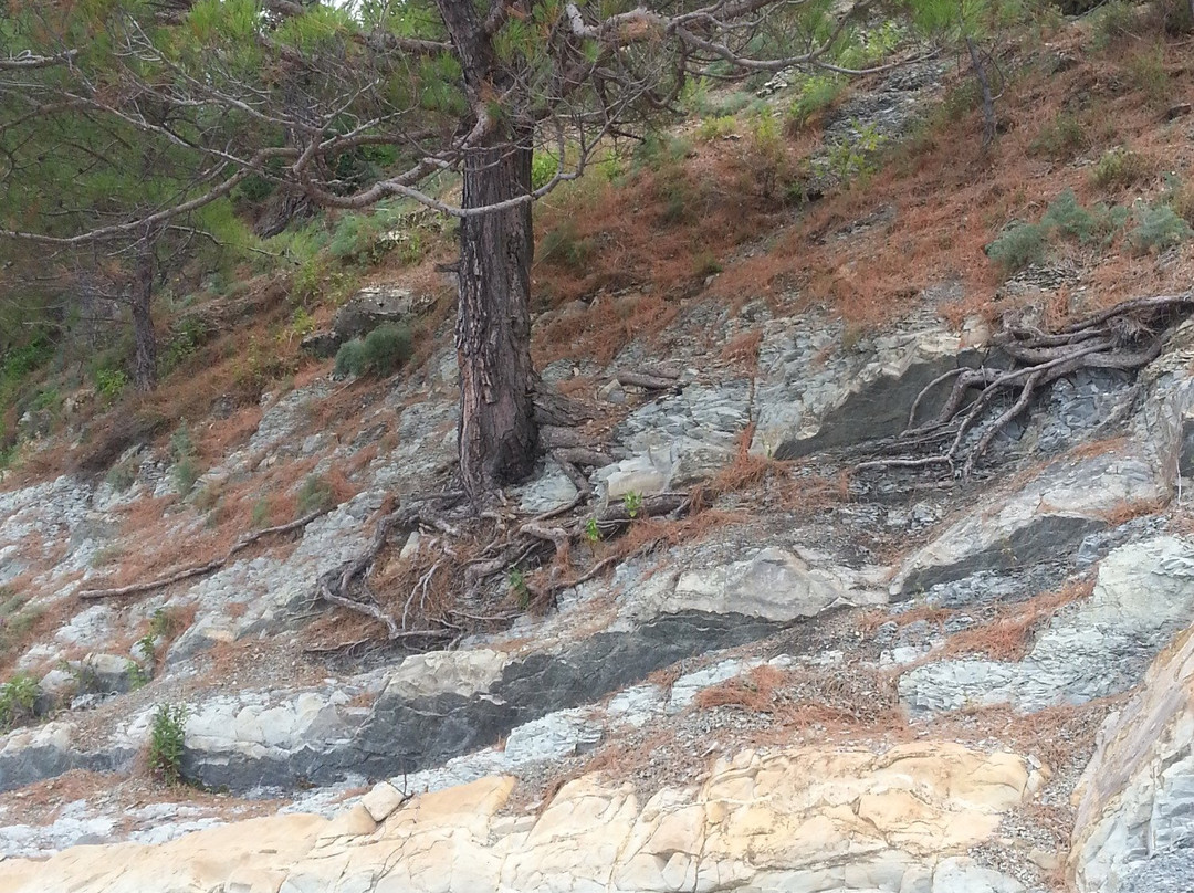 Mini Hotel Villa Agria主图