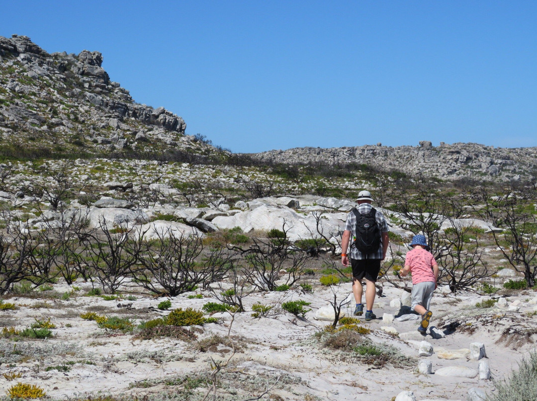 Thomas T Tucker Shipwreck Trail-Cape Peninsula National Park必去景点
