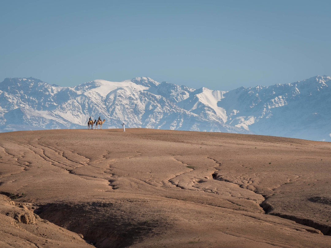 Dunes & Desert景点图片