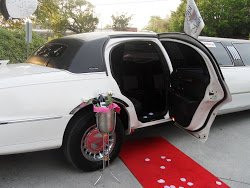 Lett's Taxi and Limousine-威尔明顿必去景点