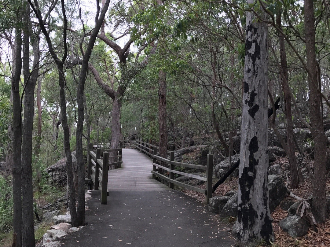 图海森林-布里斯班必去景点