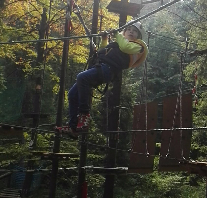 Krynicki Park Linowy景点图片