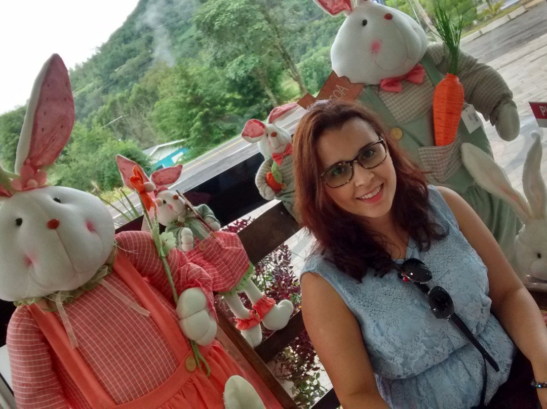 Lyttu's-Nova Petropolis必去景点