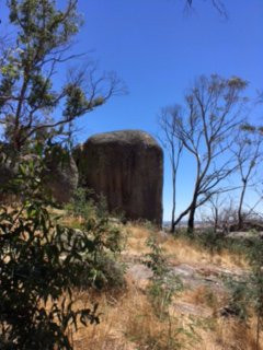 Blackhill Reserve-凯尼顿必去景点