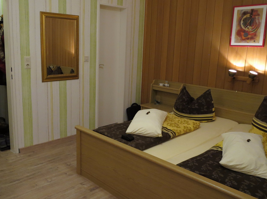 Hotel-Pension Parkschlosschen主图