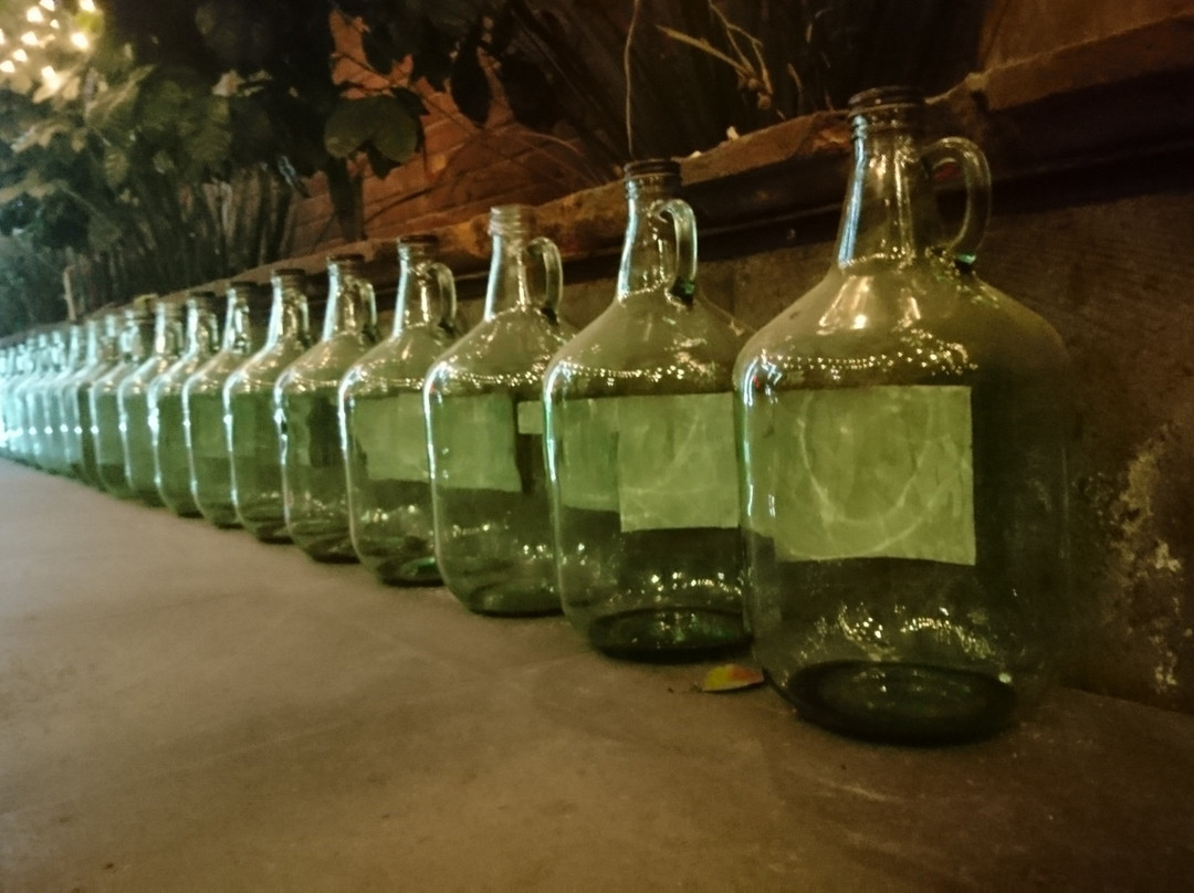 Casa Merlot-托卢卡必去景点