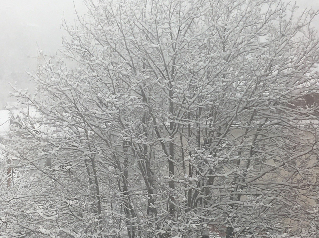 Landgasthof Jagerwirt主图