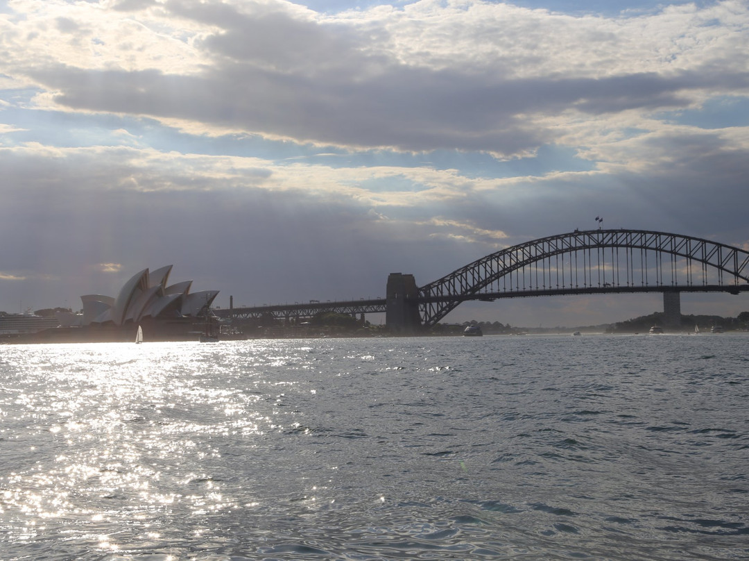 Sydney Catamaran Cruises景点图片