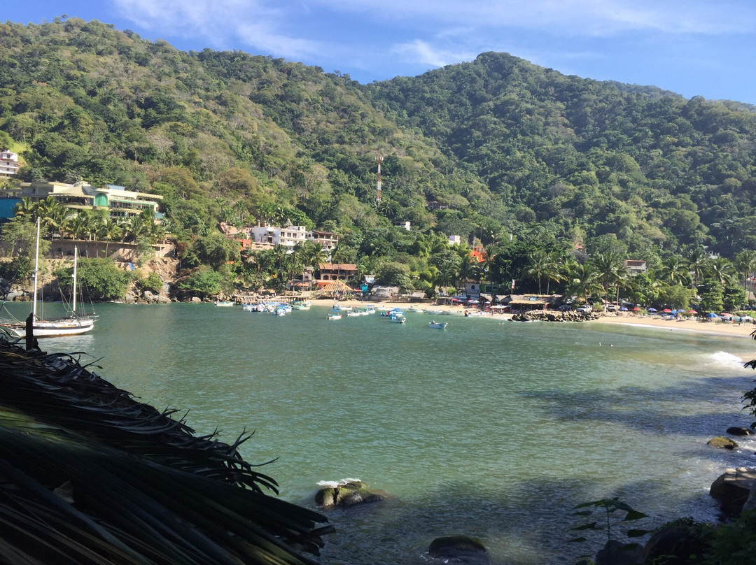 Boca de Tomatlan旅游攻略图片