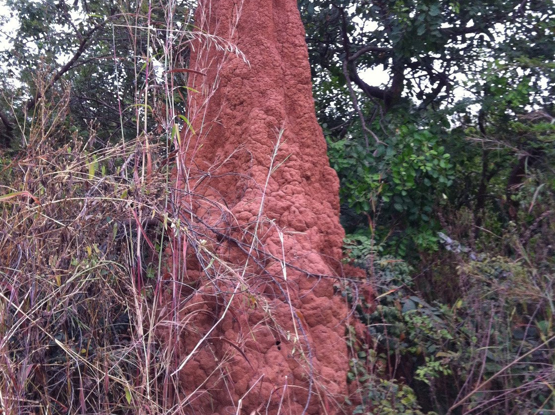 African Adventure Tours - Day Tours-Fajara必去景点