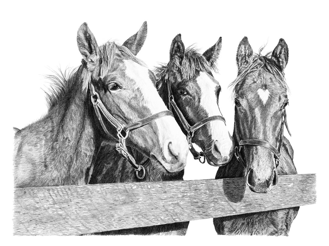 Adam W. Carlos Fine Art-Mountain Village必去景点