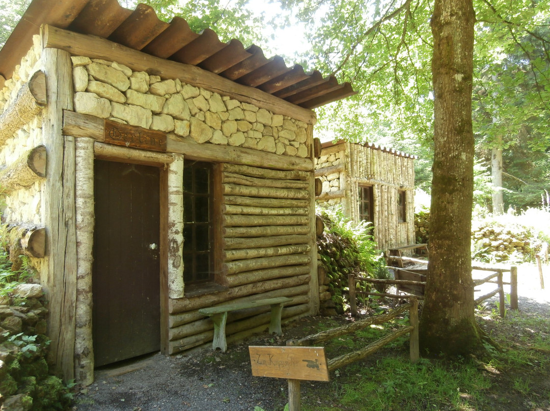 Camp de la Vallée Moreau景点图片