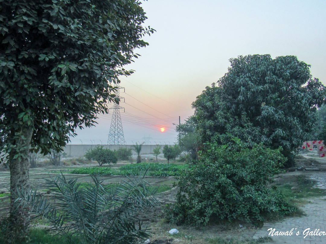 Muzaffargarh旅游攻略图片