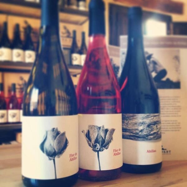 Vinedos y Bodegas Terra D´art景点图片