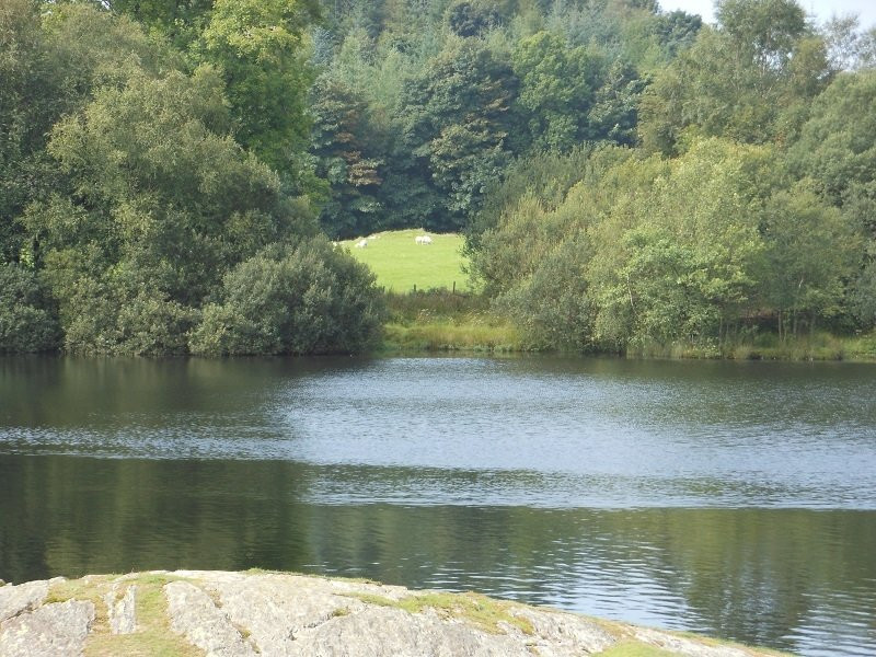 Moss Eccles Tarn-安布赛德必去景点