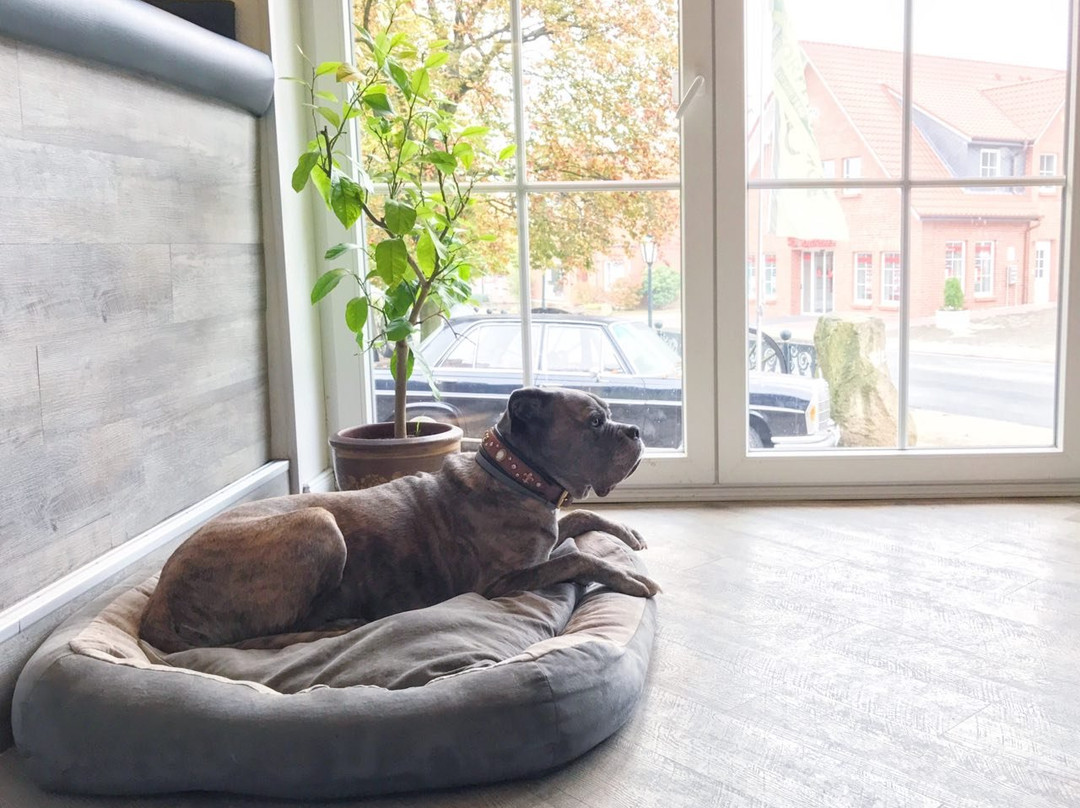 Egestorfer Hof主图