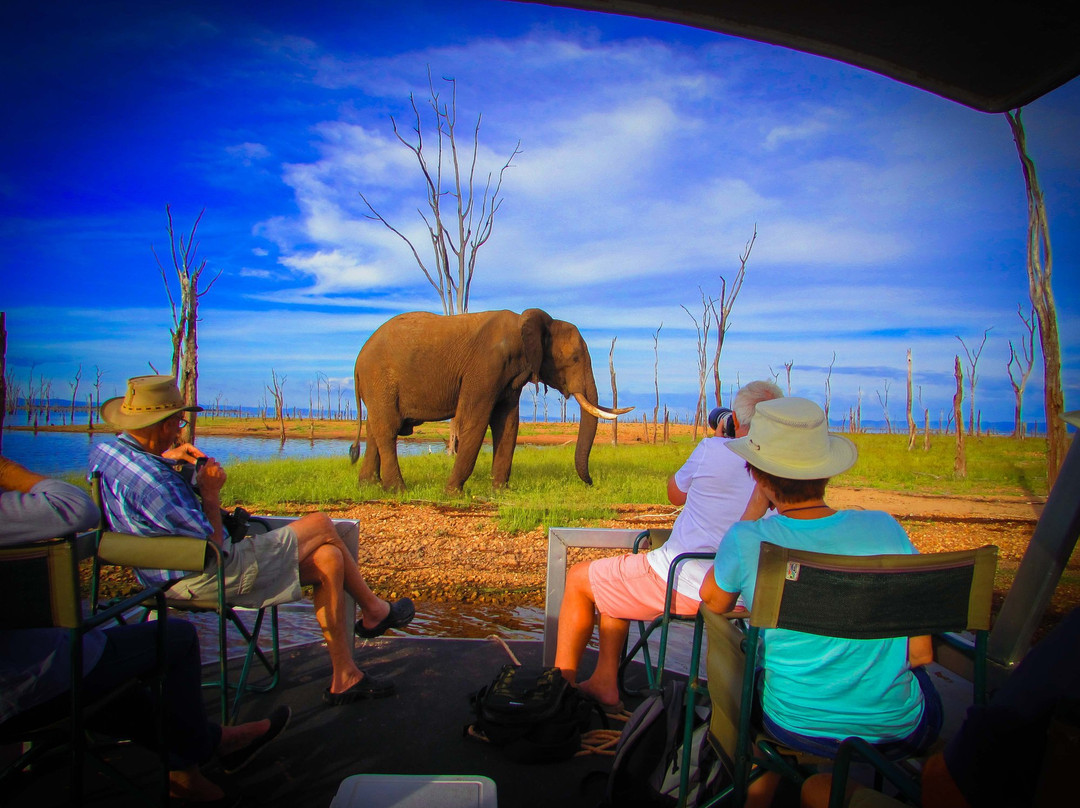 Changa Safari Camp