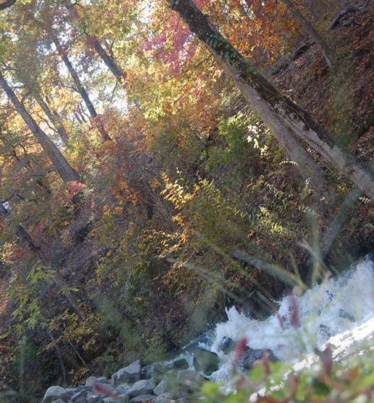 Chimney Rock Hollow主图