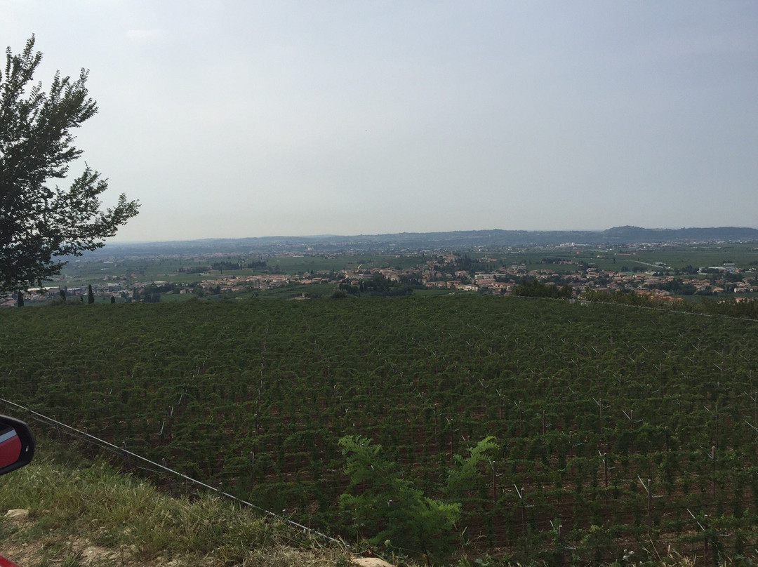 Azienda Agricola Dindo-Fumane必去景点