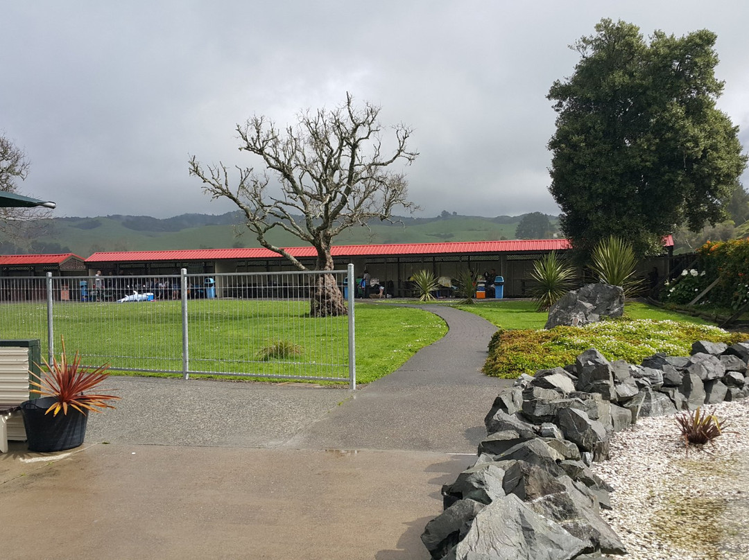 Miranda Hot Springs-Thames必去景点