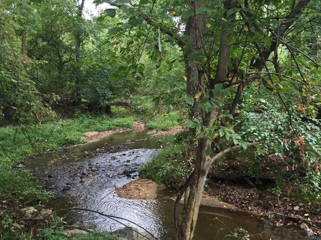 Font Hills Wetlands Park-埃利科特城必去景点