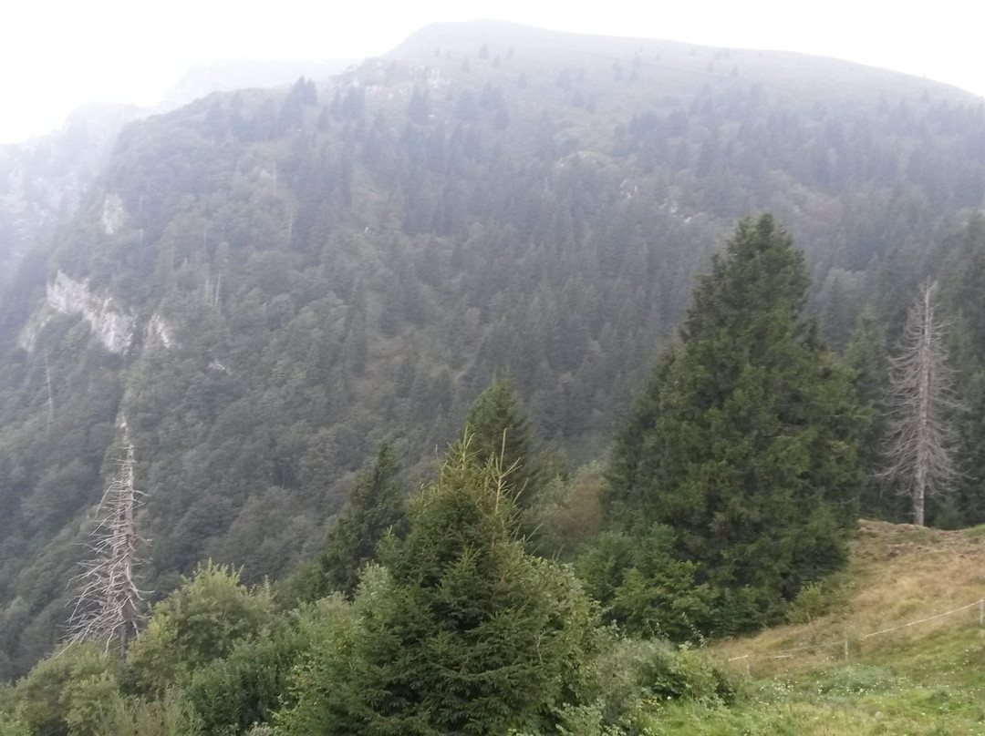 Roccolo Agriturismo主图